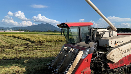 【令和6年新米】茨城県産 コシヒカリ 10kg 令和6年産 新米 単一原料米 精米 米 お米 コメ 白米 こしひかり 茨城県 [BC083sa]