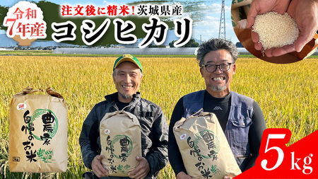 【令和7年】茨城県産 コシヒカリ 5kg 令和7年産 単一原料米 精米 米 お米 コメ 白米 こしひかり 茨城県 [BC084sa]