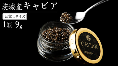 【2025年12月上旬発送開始】 お試し キャビア 9g×1瓶 [AI015sa]