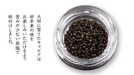 【2025年12月上旬発送開始】 お試し キャビア 9g×1瓶 [AI015sa]