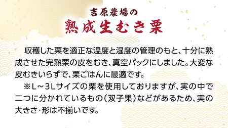 《 先行予約 》 【 吉原農場 の 完熟栗 】 熟成 生むき栗 ( 120g × 3袋 ) [FC003sa]