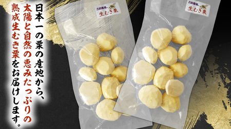 《 先行予約 》 【 吉原農場 の 完熟栗 】 熟成 生むき栗 ( 120g × 5袋 ) [FC004sa]