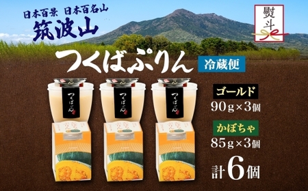 無地熨斗 ゴールドぷりん ＆ かぼちゃぷりん 各3個 計6個  [EW037sa]