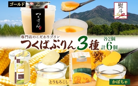 無地熨斗 ゴールドぷりん ＆ とうもろこしプリン ＆ かぼちゃぷりん 各2個 計6個 [EW043sa]