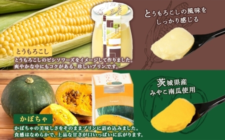 無地熨斗 ゴールドぷりん ＆ とうもろこしプリン ＆ かぼちゃぷりん 各2個 計6個 [EW043sa]