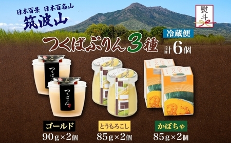 無地熨斗 ゴールドぷりん ＆ とうもろこしプリン ＆ かぼちゃぷりん 各2個 計6個 [EW043sa]