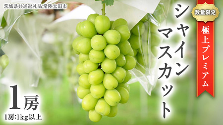 【2026年9月中旬発送開始】 極上 プレミアム シャインマスカット １房 ( １房 1kg 以上)  [DU022sa]