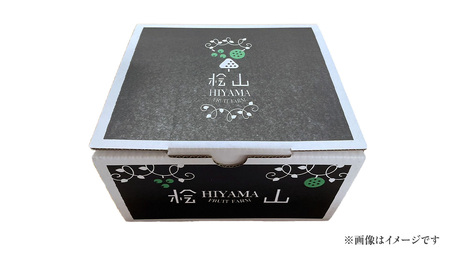 【2026年9月中旬発送開始】 極上 プレミアム シャインマスカット ２房 ( １房 1kg 以上) 数量限定 【茨城県共通返礼品／常陸太田市】 [DU023sa]