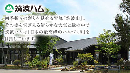 《 12/20入金分まで 年内 にお届け 》 筑波ハム バラエティ ブロック 7品 ( ハム ベーコン ソーセージ 焼豚 ) 『常陸の輝き』 茨城県産 ブランド豚 銘柄豚 ( 茨城県共通返礼品 ) ロースハム ボンレスハム フランク ウィンナー 豚 ポーク ステーキ 肉 お肉 [EN005sa]