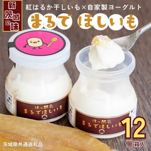 筑波ハム 『 まるで ほしいも 』 100g × 12個 ( ほしいもクン 特製 化粧箱 入り )( 茨城県共通返礼品 )  [EN043sa]
