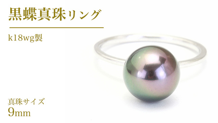 黒蝶真珠 9.0mm k18wg製 リング ( ダイヤモンド 無し )  [AH139sa]\t