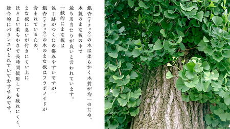 【 数量 限定 】 職人 がつくる 銀杏 の木 の まな板 [SC054sa]