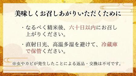 令和7年産 『 にじのきらめき 』 10kg ( 5kg × 2袋 ) 白米 精米 国産 茨城県 桜川市 お米 米 おこめ おコメ ごはん 銘柄米 [SC055sa]