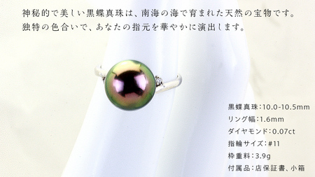 南洋の海が育んだ 黒蝶真珠 リング （ K18 wg製 10.0-10.5mm ） [AH145sa]