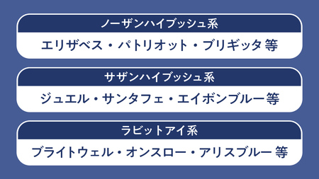 茨城県産 冷凍 ブルーベリー 合計 500g (250g×2袋)【2025年7月中旬から発送開始】 [DZ003sa]