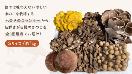 《 全３回 隔月定期便 》 きのこ の 詰め合わせ Sサイズ 約1kg （茨城県共通返礼品 城里町）  [CX008sa]