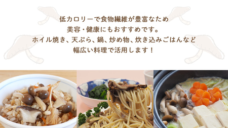 《 全３回 隔月定期便 》 きのこ の 詰め合わせ Sサイズ 約1kg （茨城県共通返礼品 城里町）  [CX008sa]