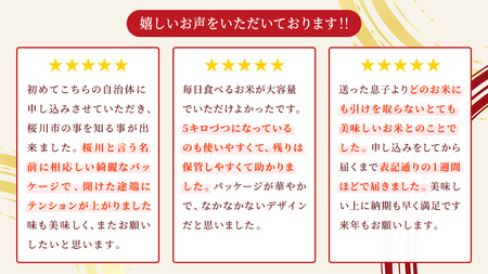 【生産者支援】 《令和7年産 先行予約》茨城県 桜川市産 こしひかり5kg 茨城県産 桜川 米 お米 白米 コメ ごはん 精米 コシヒカリ 国産 限定 銘柄米 [SC051sa]