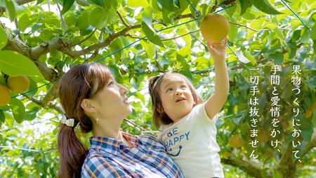 豊水 約5kg（茨城県共通返礼品：かすみがうら市） [FF004sa]