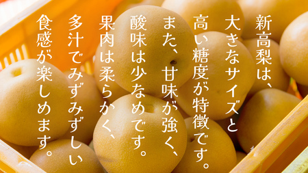 新高 約5kg（茨城県共通返礼品：かすみがうら市） [FF005sa]