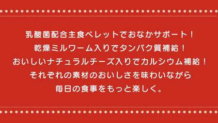 ハリネズミ テイストプラス 200g × 3袋 ハリネズミ 小動物用フード ペットフード おやつ 乳酸菌配合 [BU037sa]