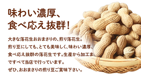 おおまさり 煎り落花生 合計480g (240g×2袋) 【2025年11月上旬から発送開始】  [BB013sa]