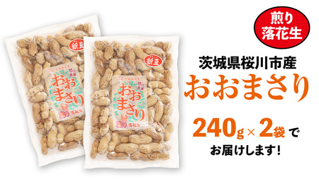 おおまさり 煎り落花生 合計480g (240g×2袋) 【2025年11月上旬から発送開始】  [BB013sa]