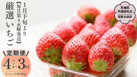 【2026年 先行予約】【定期コース】厳選いちご 4パック×3回【第4水曜発送】（茨城県共通返礼品／常陸太田市） [DY012sa]