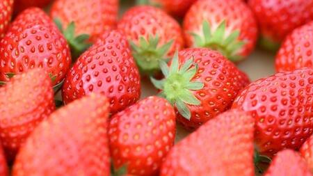 【2026年 先行予約】【定期コース】厳選いちご 4パック×3回【第4水曜発送】（茨城県共通返礼品／常陸太田市） [DY012sa]