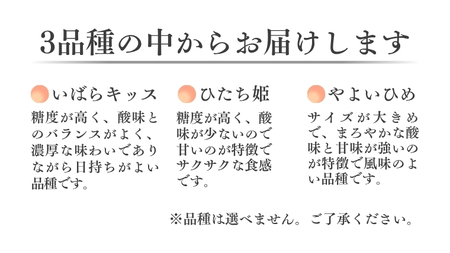 【定期便 全3回】厳選いちご 2パック×3回 2026年3月～5月お届け（茨城県共通返礼品／常陸太田市） [DY024sa]