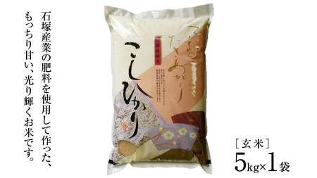 ≪ 令和7年度 新米 ≫ コシヒカリ 玄米5kg（5kg×1袋）（茨城県共通返礼品 かすみがうら市産） [EX011sa]