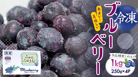 茨城県産 冷凍 ブルーベリー 合計 1kg (250g×4袋)【2025年7月中旬から発送開始】  [DZ018sa]