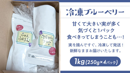 茨城県産 冷凍 ブルーベリー 合計 1kg (250g×4袋)【2025年7月中旬から発送開始】  [DZ018sa]