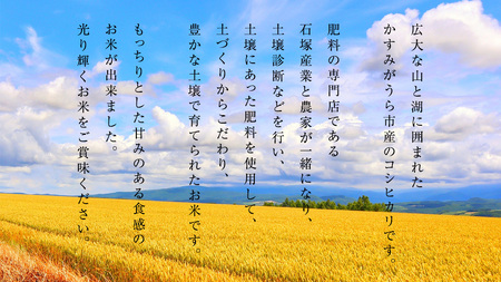 【令和7年産】 ミルキークイーン 精米 10kg（5kg×2袋）（茨城県共通返礼品 かすみがうら市産） [EX015sa]