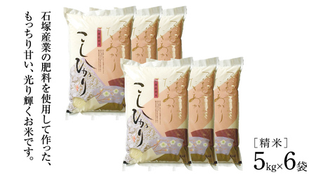 【 6ヶ月 定期便 】【 令和7年産 】 コシヒカリ 精米 5kg × 6回 ( 合計 30kg )（茨城県共通返礼品かすみがうら市） [EX018sa]