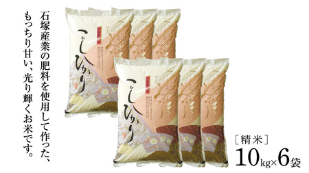 【 6ヶ月 定期便 】【 令和7年産 】 コシヒカリ 精米 10kg ( 10kg × 1袋 ) × 6回 ( 合計 60kg )（茨城県共通返礼品かすみがうら市） [EX020sa]