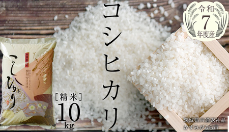 ＼ 8月出荷 ／【令和7年産】コシヒカリ 精米10kg（10kg×1袋）（茨城県共通返礼品 かすみがうら市産） [EX002sa-08]