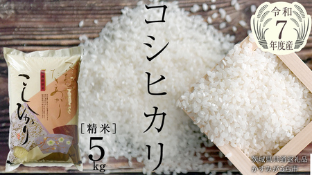 ＼ 8月出荷 ／【令和7年産】コシヒカリ 精米5kg（5kg×1袋）（茨城県共通返礼品 かすみがうら市産） [EX010sa-08]