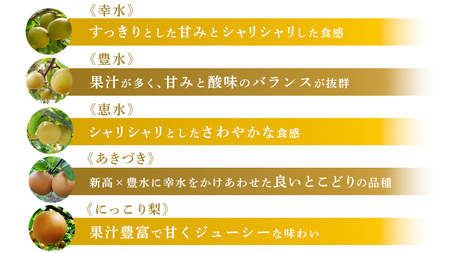 幸水 約 5kg （8～14玉） [BQ019sa]	