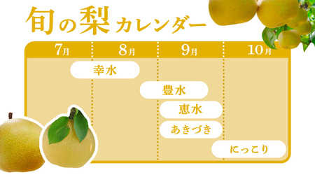 あきづき 約 5kg （8～14玉） [BQ022sa]