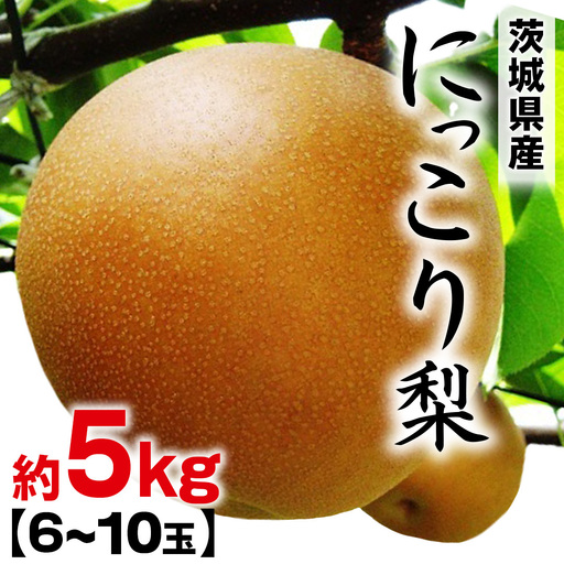 にっこり梨 約 5kg （6～10玉） [BQ023sa]