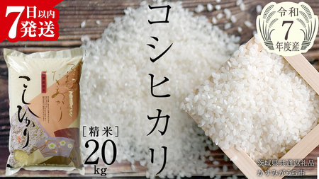 \ 最短7営業日以内に発送 /【令和7年産】コシヒカリ 精米20kg(5kg×4袋)(茨城県共通返礼品 かすみがうら市)