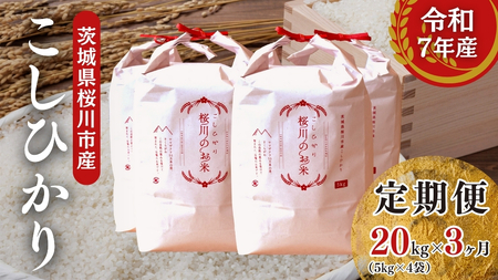 《 3ヶ月 定期便 》【生産者支援】令和7年産 茨城県桜川市産 こしひかり 20kg ( 5kg × 4袋 ) × 3回 [SC067sa]