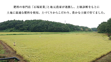 【 令和7年産 】 【 3ヶ月 定期便 】  極上ふるさと米 精米  10kg × 3回 ( 合計 30kg ) (茨城県共通返礼品 かすみがうら市)  [EX035sa]