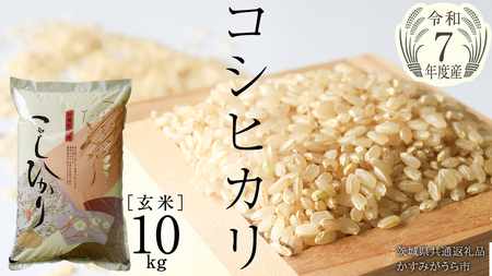 ＼ 2月出荷 ／【令和7年産】コシヒカリ 玄米10kg（10kg×1袋）（茨城県共通返礼品 かすみがうら市産）[EX012sa-02]