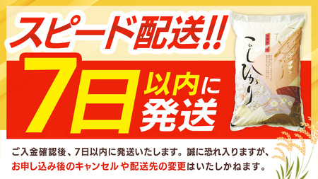 ＼ 最短7営業日以内に発送 ／【令和7年産】コシヒカリ 玄米 20kg（5kg×4袋）（茨城県共通返礼品 かすみがうら市） [EX027sa]