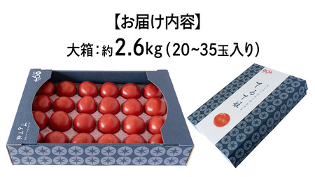 【母の日専用】 スーパーフルーツトマト てるて姫 大箱 約2.6kg ×1箱 糖度9度以上 《5月4日～10日お届け メッセージカード付》 [BC094sa]