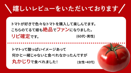 【母の日専用】 スーパーフルーツトマト てるて姫 大箱 約2.6kg ×1箱 糖度9度以上 《5月4日～10日お届け メッセージカード付》 [BC094sa]