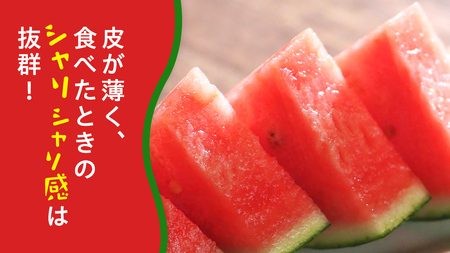 小玉 スイカ スウィートキッズ 4玉 2026年 [CQ008sa]