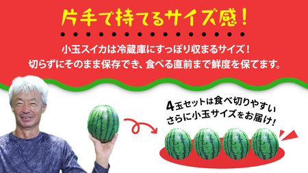 小玉 スイカ スウィートキッズ 4玉 2026年 [CQ008sa]